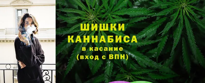 как найти наркотики  Жирновск  блэк спрут вход  Бошки Шишки ГИДРОПОН 